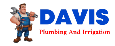 Trusted plumber in CASTLEBERRY